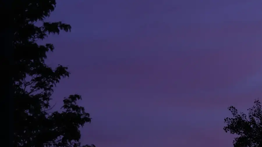 Rooflines and trees in Kitchener silhouetted against an evening sky
