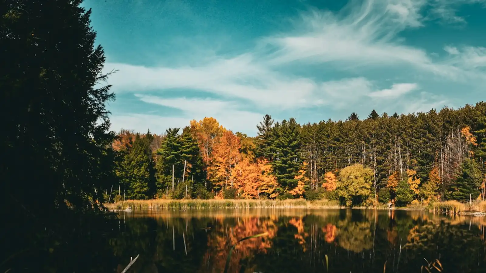 A still lake near Kitchener ringed with autumn trees