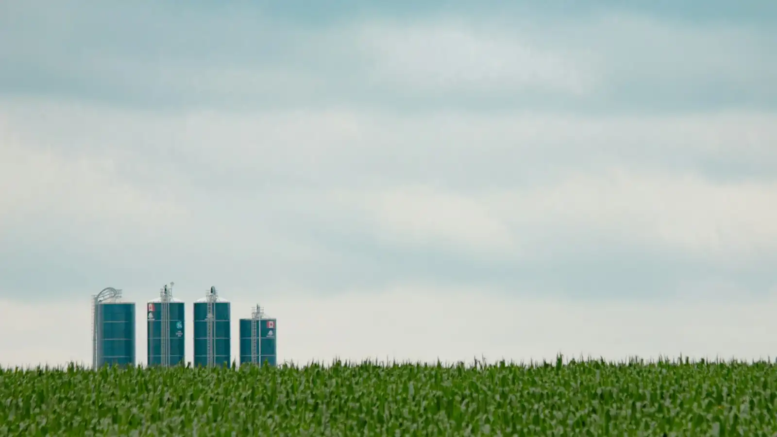 Rural Waterloo Region: three silos beside a green field