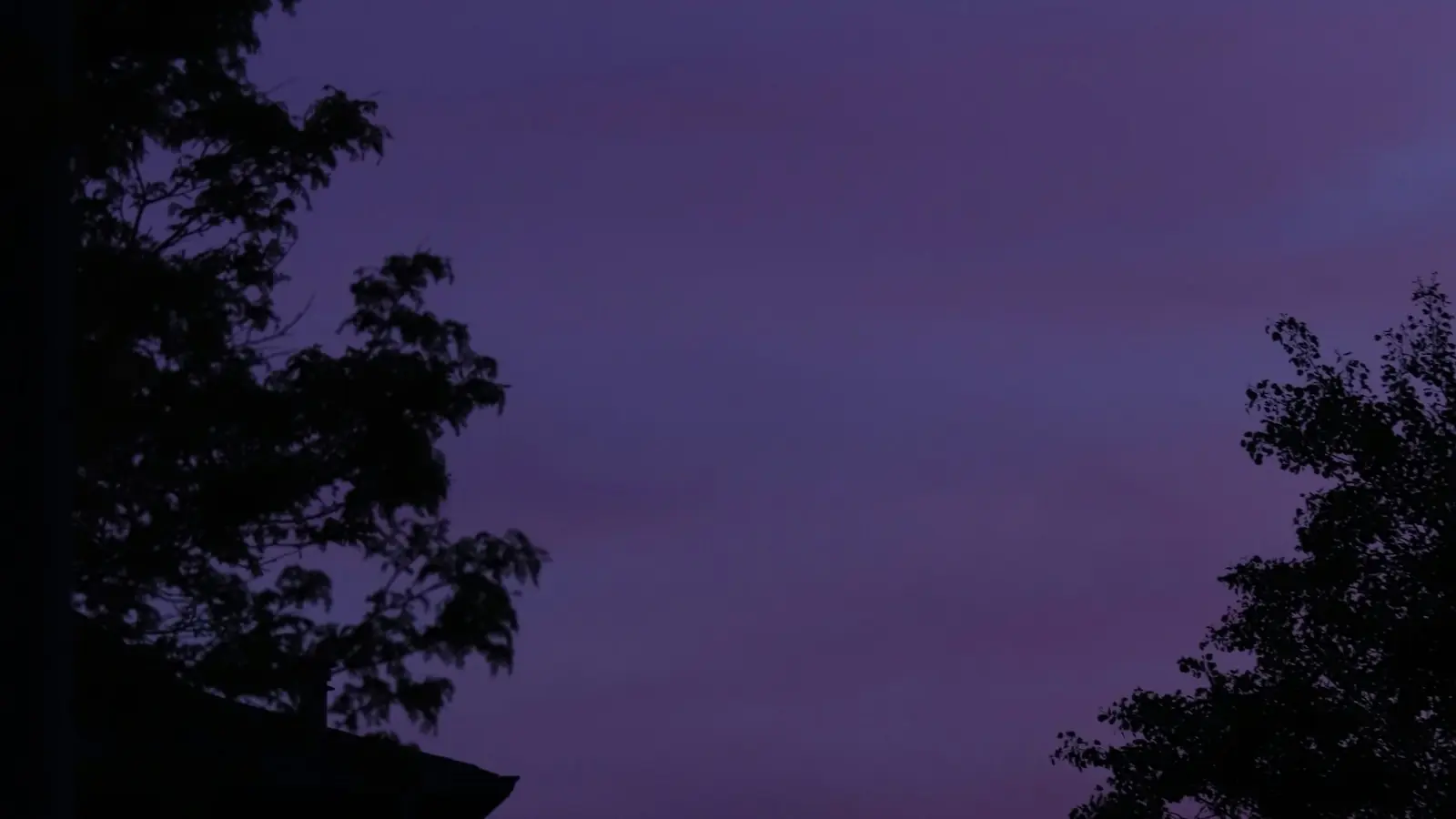 Rooflines and trees in Kitchener silhouetted against an evening sky